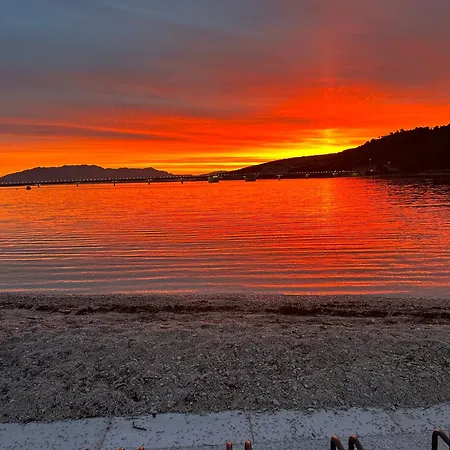 Zrina - 트로기르